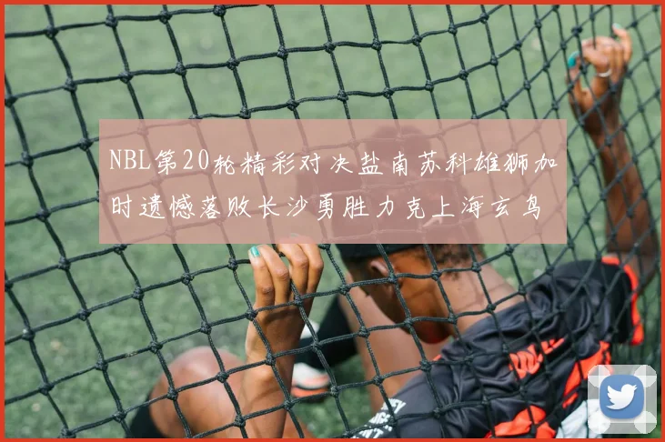 NBL第20轮精彩对决盐南苏科雄狮加时遗憾落败长沙勇胜力克上海玄鸟