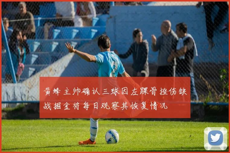 黄蜂主帅确认三球因左踝骨挫伤缺战掘金将每日观察其恢复情况