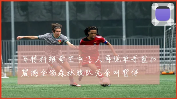 马特科维奇空中飞人再现单手重扣震撼全场森林狼队无奈叫暂停