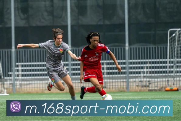 168体育平台生态图